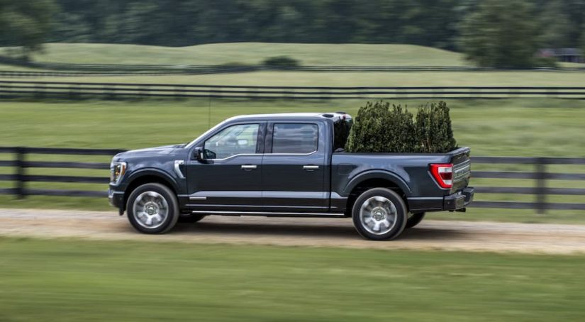A dark blue 2022 Ford F-150 Powerboost hybrid is shown from the side while hauling trees.