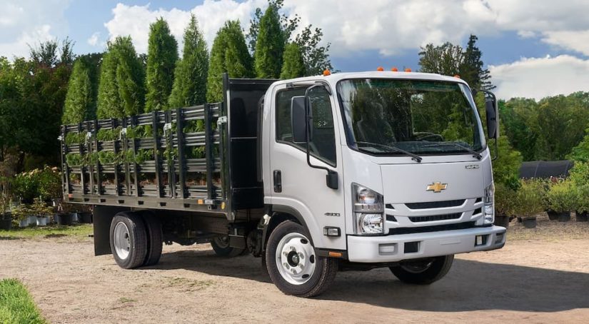 A white 2022 Chevy Low Cab Forward shown with a bed full of trees.