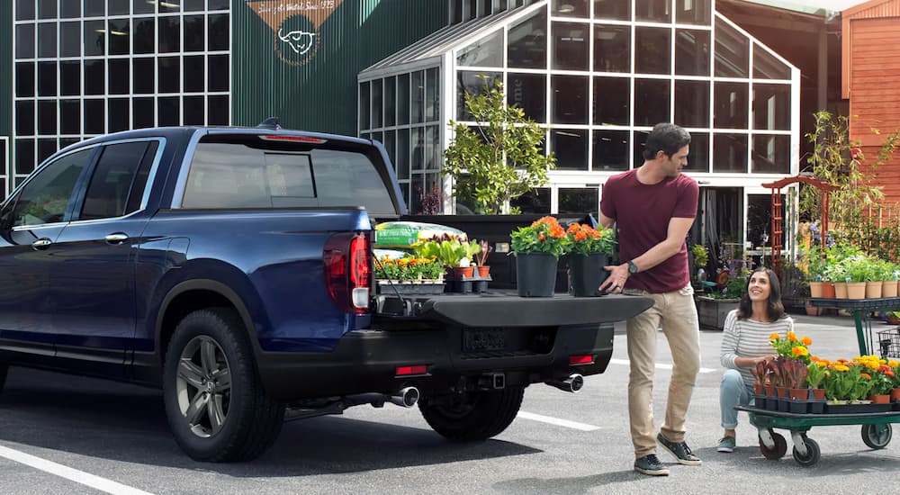 A blue 2022 Honda Ridgeline is shown from the rear as a man loads plants into the bed.