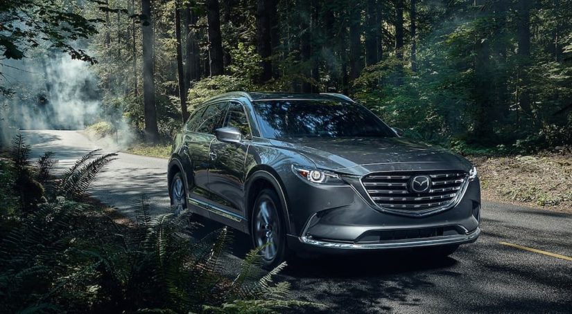 A grey 2023 Mazda CX-9 is shown from the front at an angle in the forest.