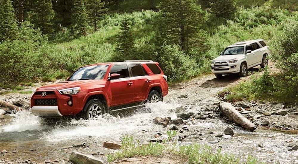 A red and a white 2019 Toyota 4Runner are shown from the side off-roading.