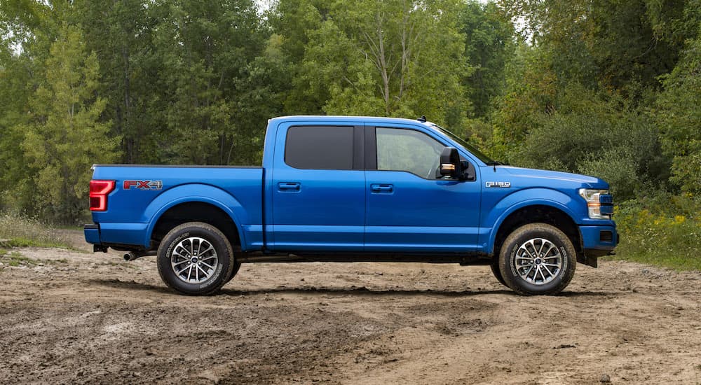 A blue 2019 Ford F-150 is shown from the side parked in a dirt field.
