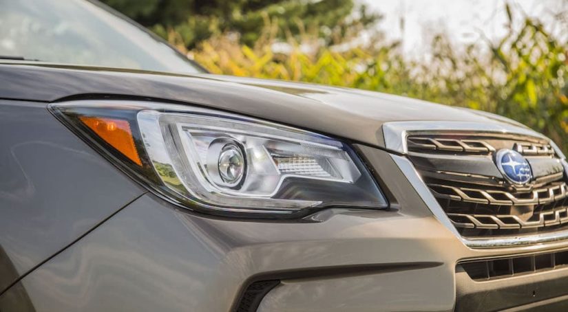 A close up shows the passenger side headlight on a tan 2017 Subaru Forester.