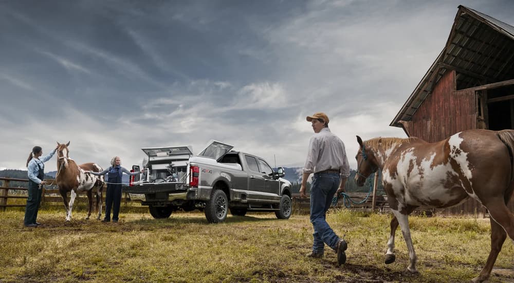 A grey 2023 Ford F-250 is shown parked in a field as a man walks a horse nearby.