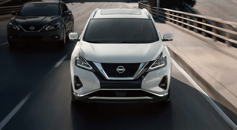 A white 2023 Nissan Murano is shown from the front driving on a highway.