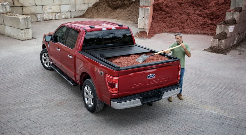 A popular used diesel truck for sale, a red 2021 Ford F-150, is shown being loaded with mulch.
