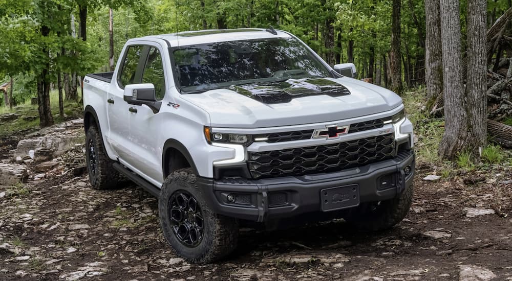 A white 2023 Chevy Silverado ZR2 is shown off-roading in the woods.