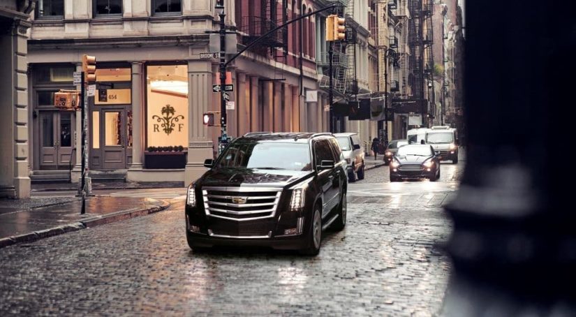 A popular used Cadillac in Chesapeake, VA, a black 2020 Cadillac Escalade, is shown on a city street.