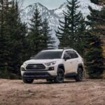 A white 2023 Toyota RAV4 is shown parked in the forest.