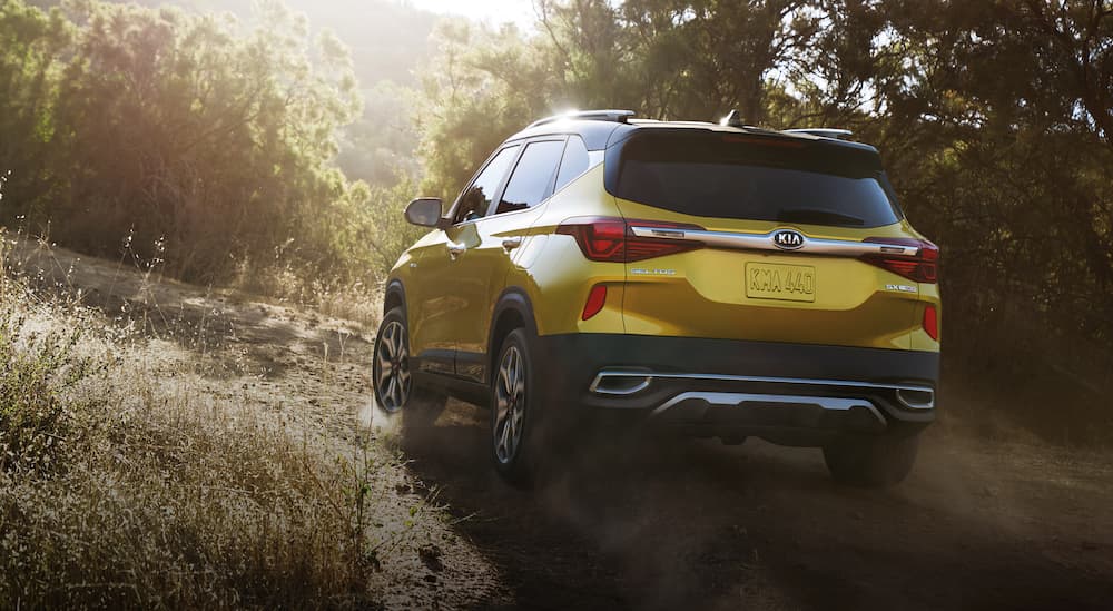 A yellow 2023 Kia Seltos SX is shown from the rear on a trail.