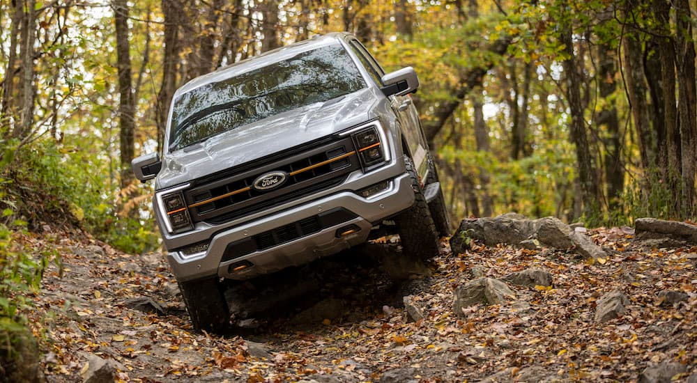 A silver 2021 Ford F-150 Tremor is shown from the front while off-road.