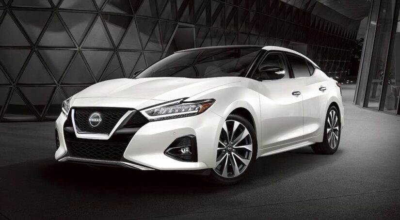 A white 2023 Nissan Maxima is shown from the front at an angle during a 2023 Nissan Maxima vs 2023 Honda Accord comparison.