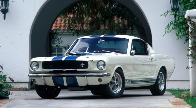 A white 1965 Ford Mustang Shelby GT350 is shown parked at a Ford dealer.