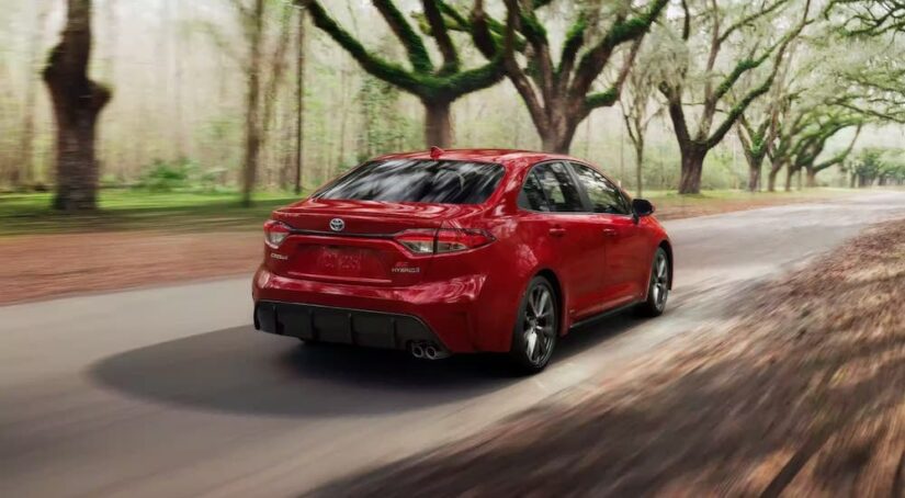 A red 2023 Toyota Corolla is shown driving near a forest.
