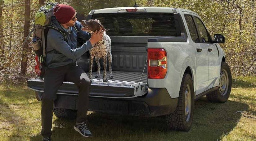 The tailgate of a gray 2024 Ford Maverick is shown with a person and a dog sitting on it.