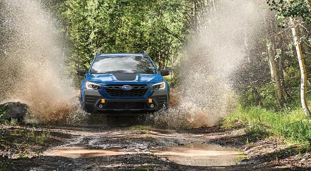 A blue 2023 Subaru Outback Wilderness is shown driving through a forest.