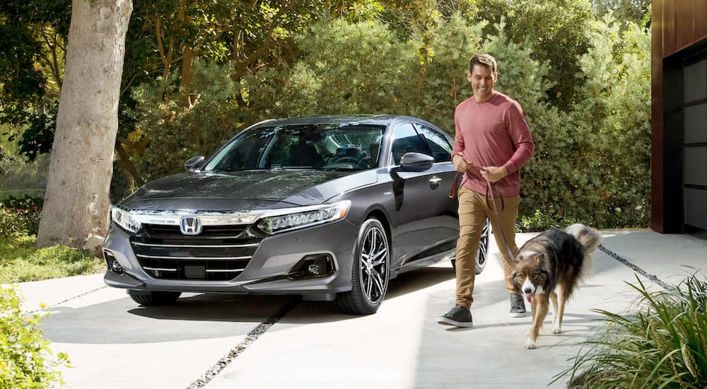 A gray 2021 Honda Accord is shown parked near a person and a dog.