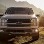 A white 2024 Ford F-150 is shown parked on grass.