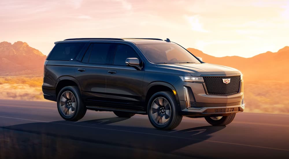 Your Guide to the 2024 Cadillac Escalade