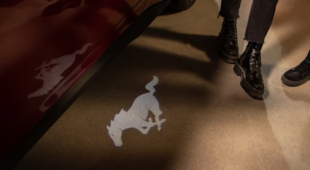 An illuminated image of the Mustang logo projected by puddle lights on a 2024 Ford Mustang.