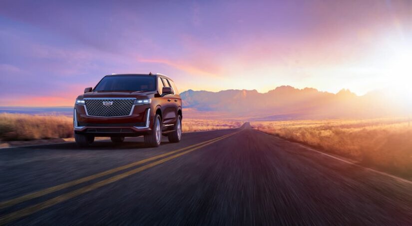 A red 2024 Cadillac Escalade driving towards the camera on an open road.