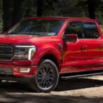 A red 2024 Ford F-150 XLT parked and angled left.