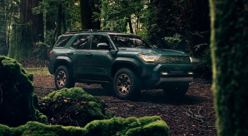 A green 2025 Toyota 4Runner Trailhunter driving through a moss-covered forest.