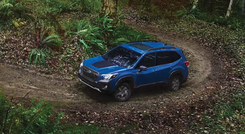 A blue 2024 Subaru Forester Wilderness is driving on a dirt road.