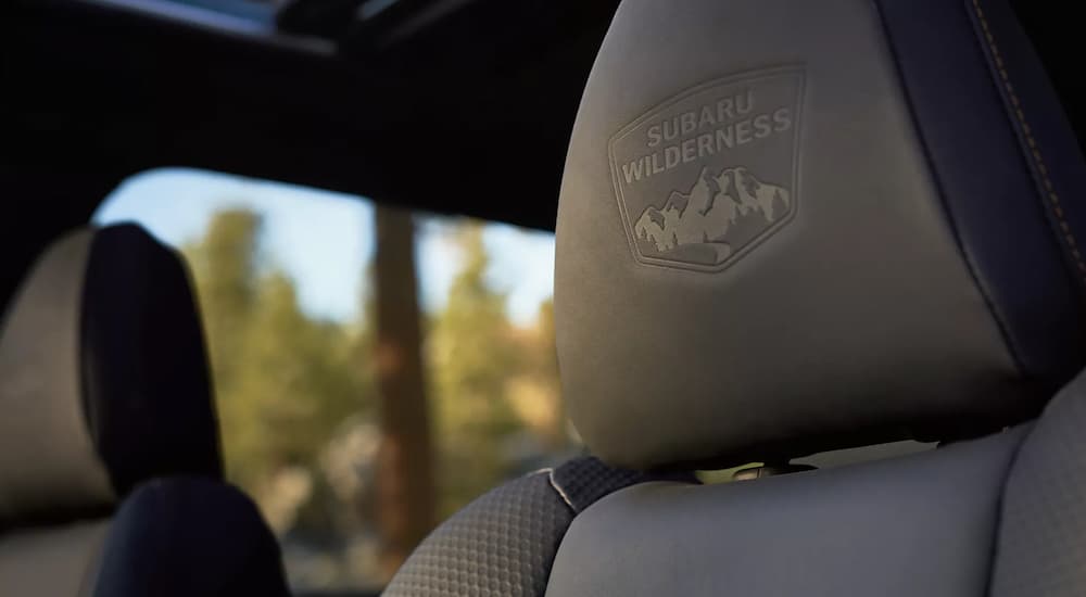 A close up of the headrest in a 2024 Subaru Forester Wilderness at a Subaru dealer.