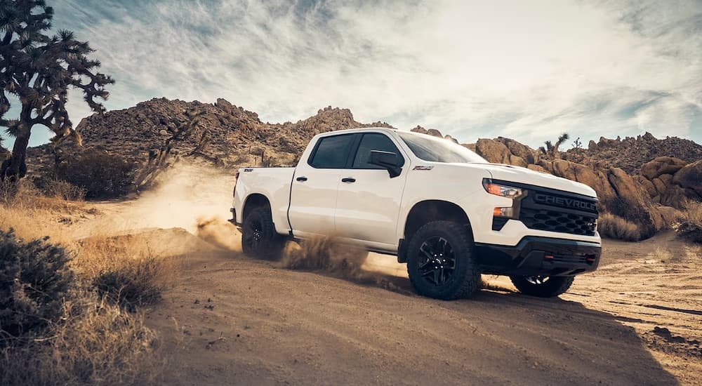 A white 2024 Chevy Silverado 1500 Trail Boss is shown from the side.