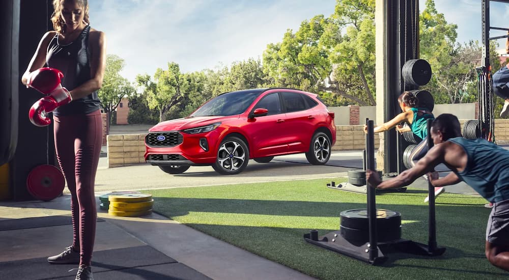 A red 2024 Ford Escape ST Line Elite parked outside a gym.