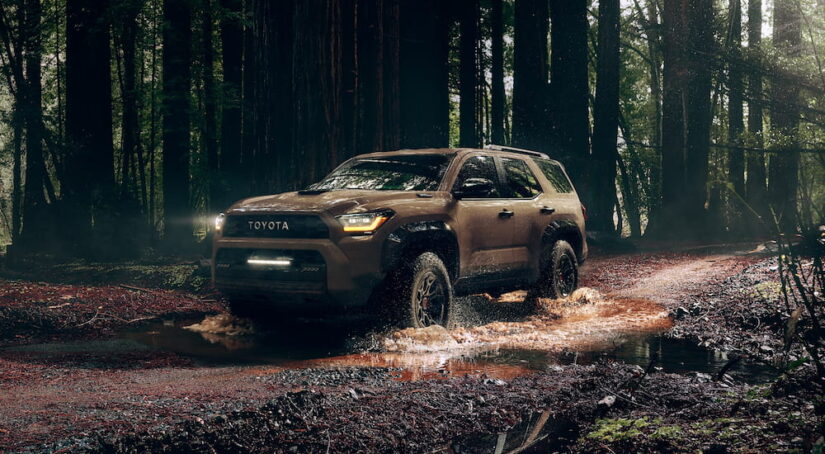 A brown 2025 Toyota 4Runner parked off-road in a forest.