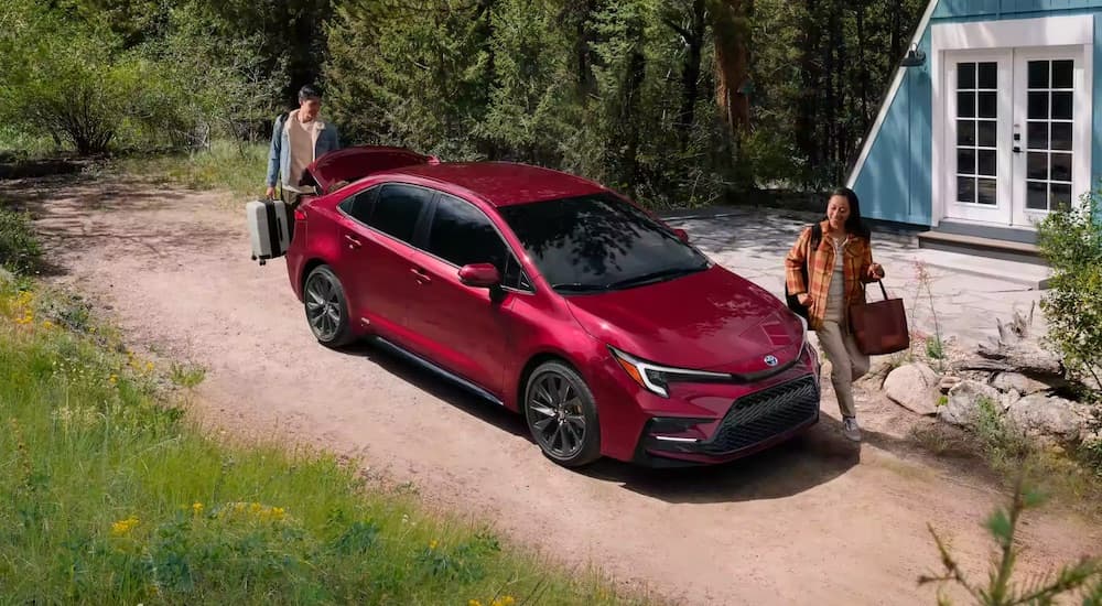 A red 2023 Toyota Corolla is shown from the front at an angle.