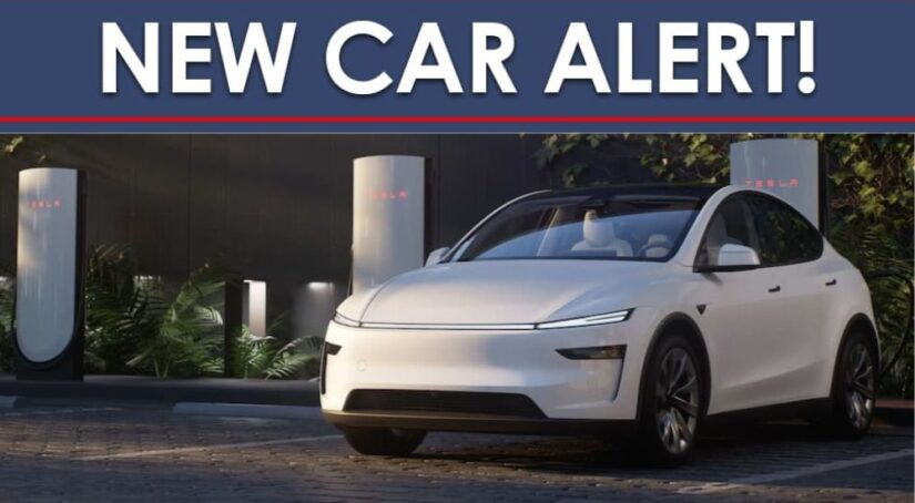 A New Car Alert banner is shown above a white 2025 Tesla Model Y.