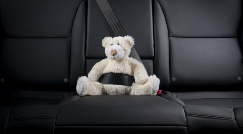 A stuffed bear is shown buckled in on a rear sat.