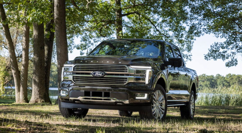 A grey 2024 Ford F-150 Platinum is shown from the front at an angle.