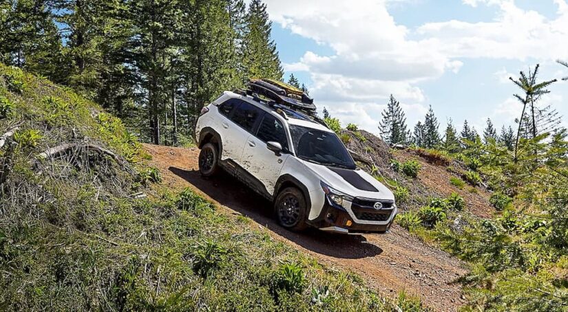 Three Models That Give Winter Weather the Cold Shoulder