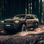 A brown 2025 Toyota 4Runner parked off-road in a forest.